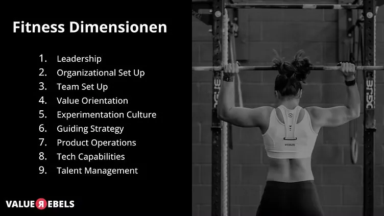 Value Rebels fitness dimensions overview