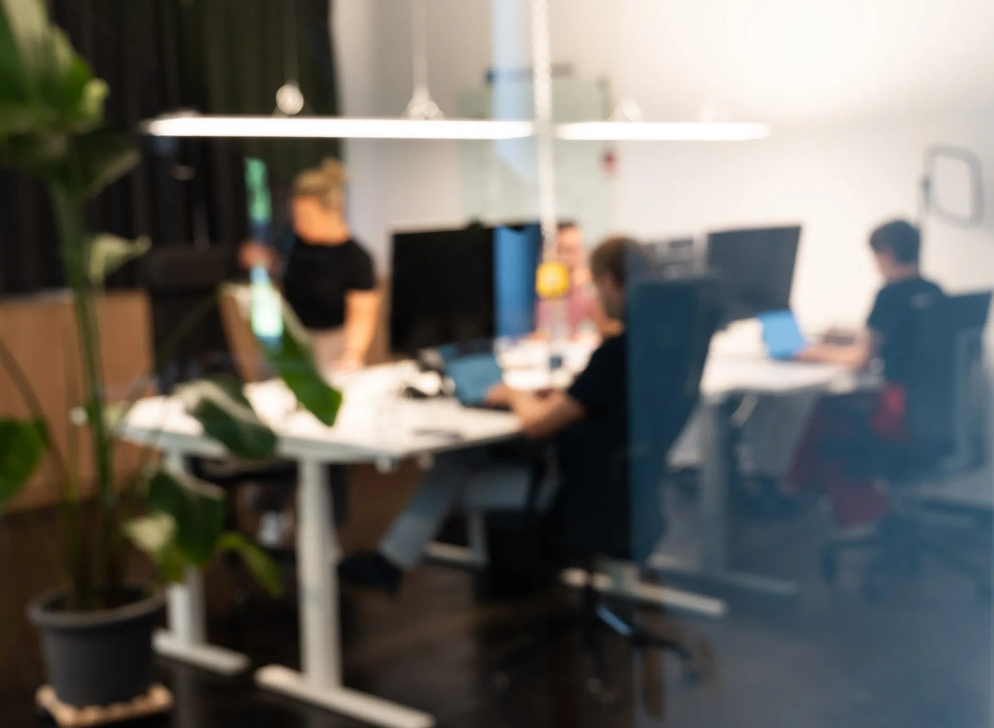 The Value Rebels office