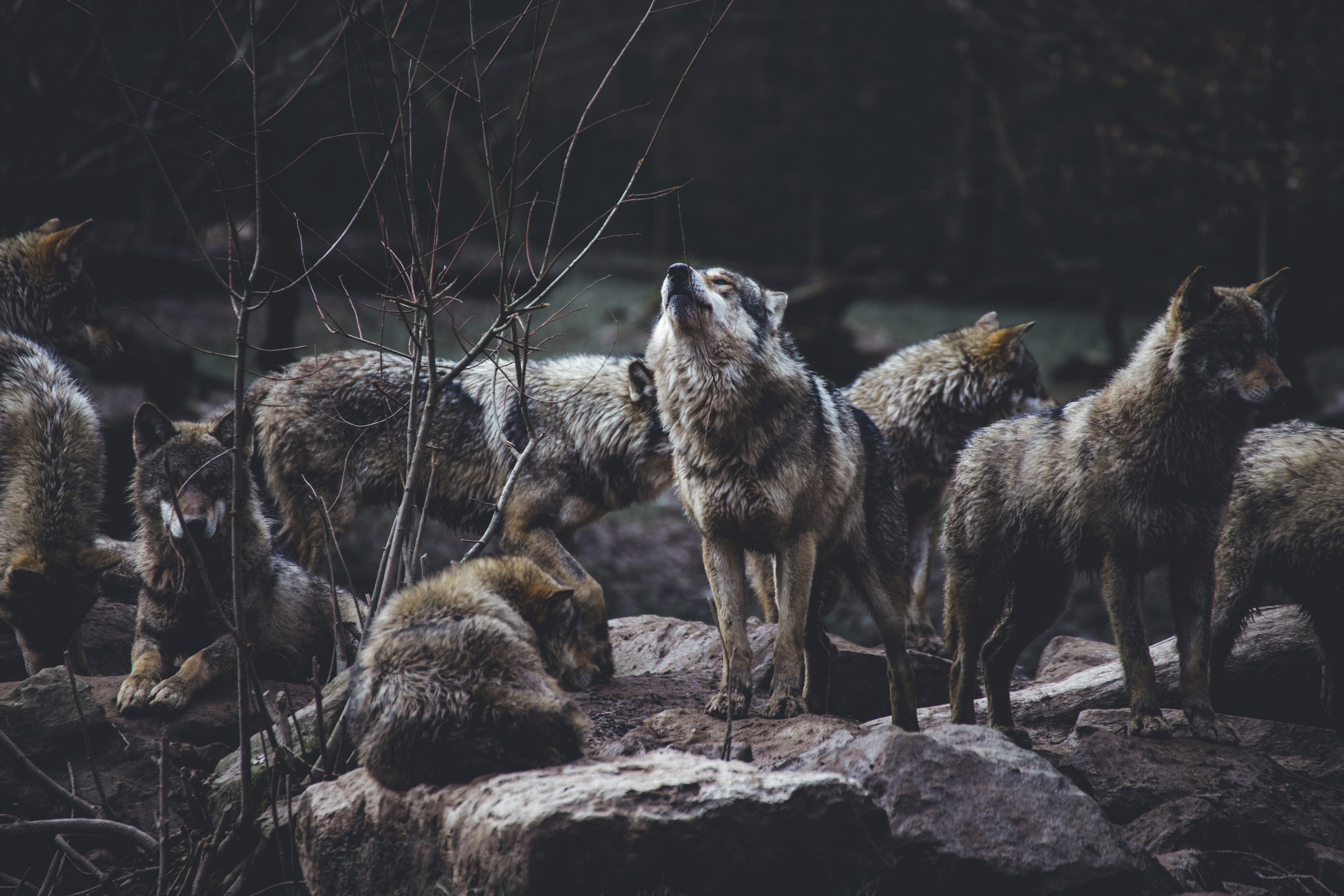 Better understanding of Product Leadership