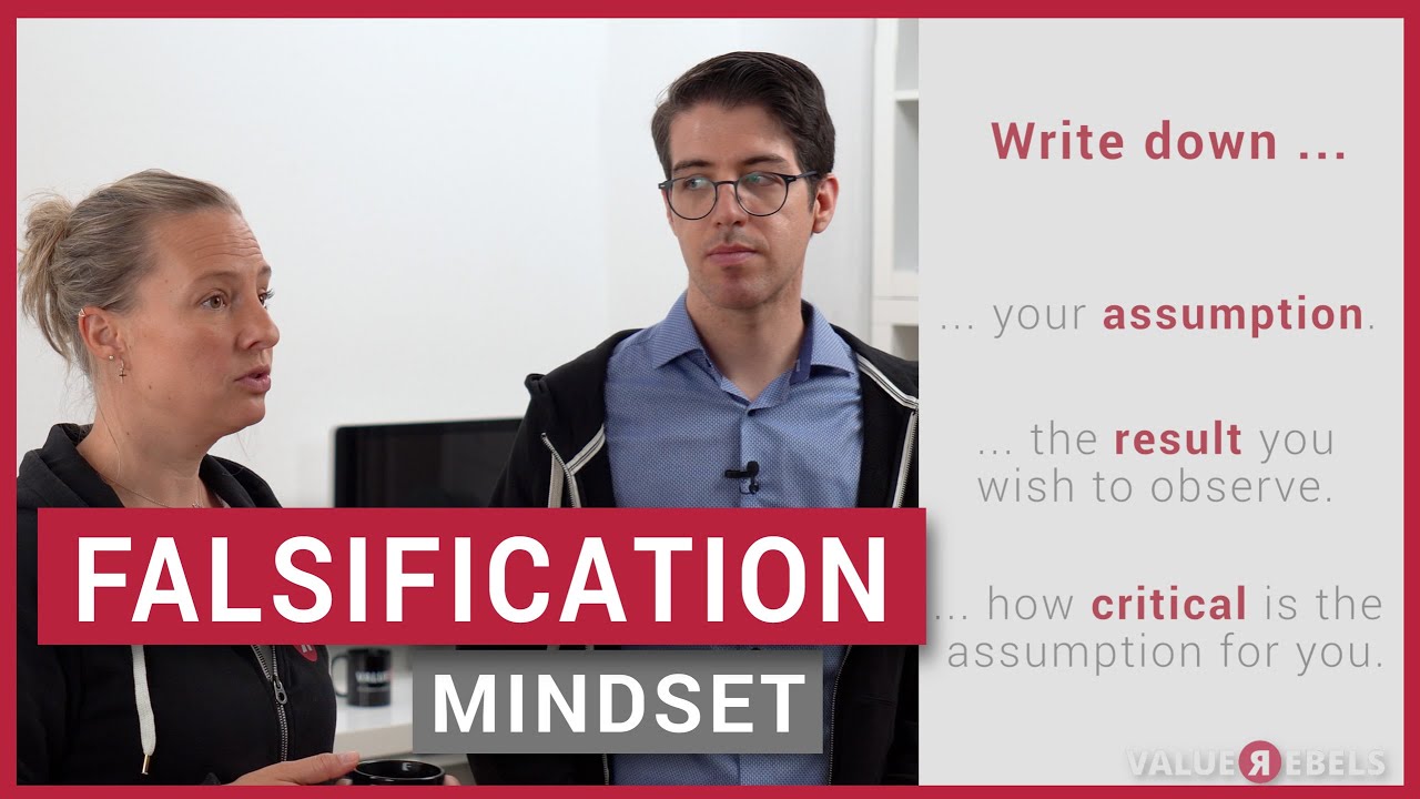 Falsification Mindset